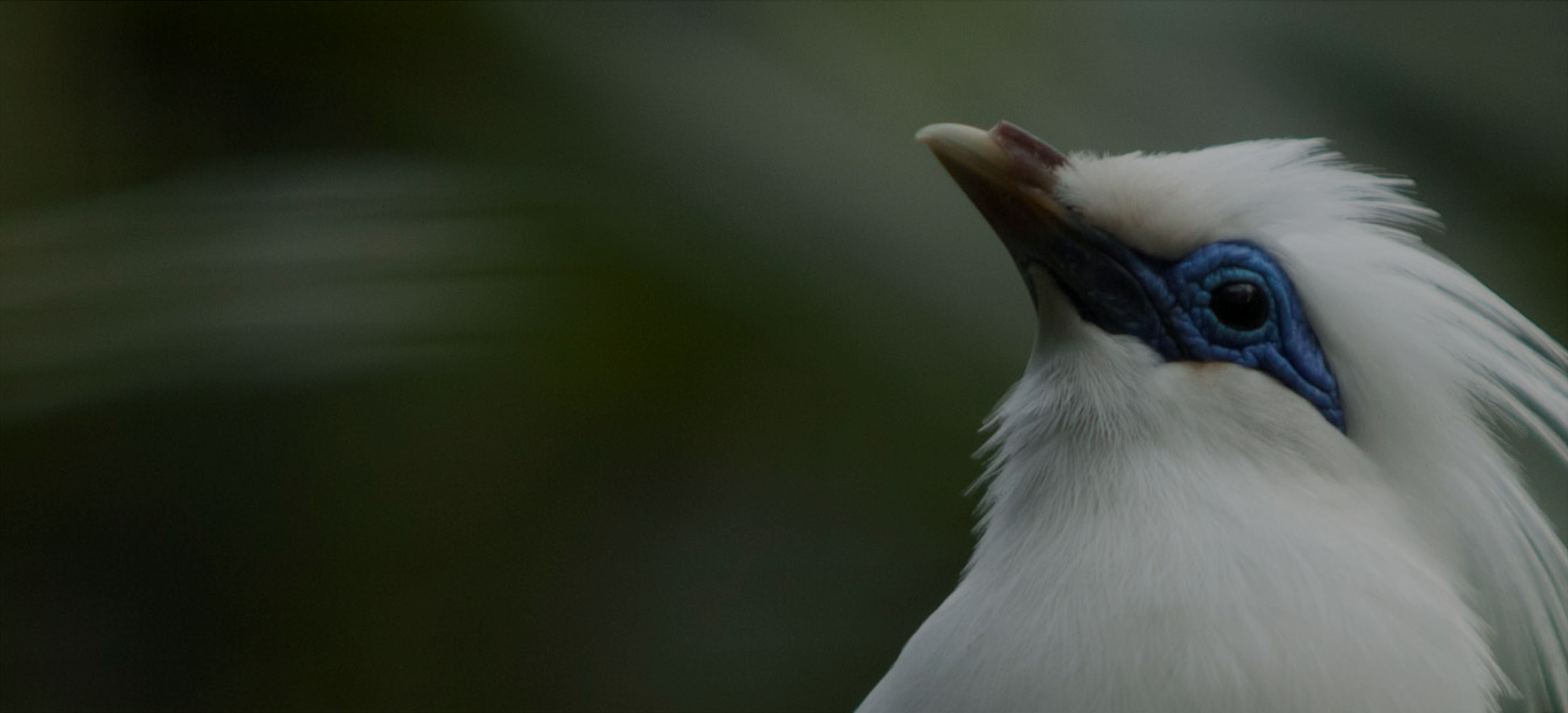 Community Conservation Program