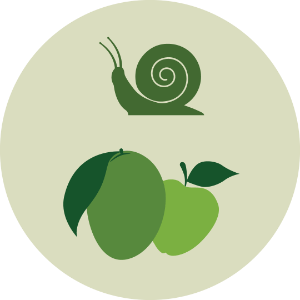 Fruit, Invertebrates