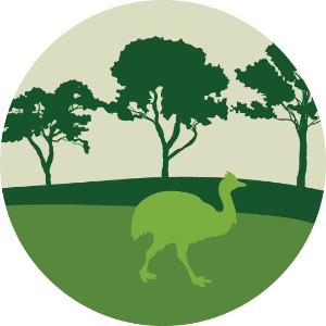 Savannah Woodland