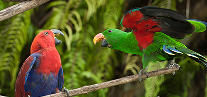 GENE POOL MANAGEMENT